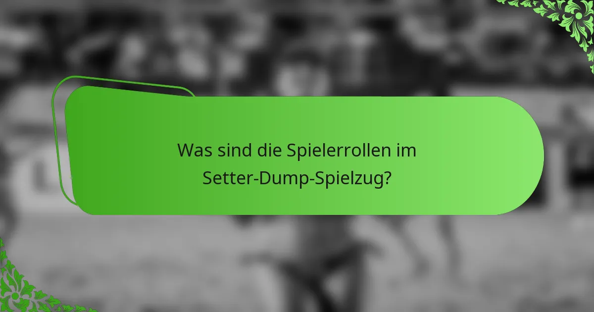 Was sind die Spielerrollen im Setter-Dump-Spielzug?